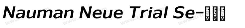 Nauman Neue Trial Se字体转换